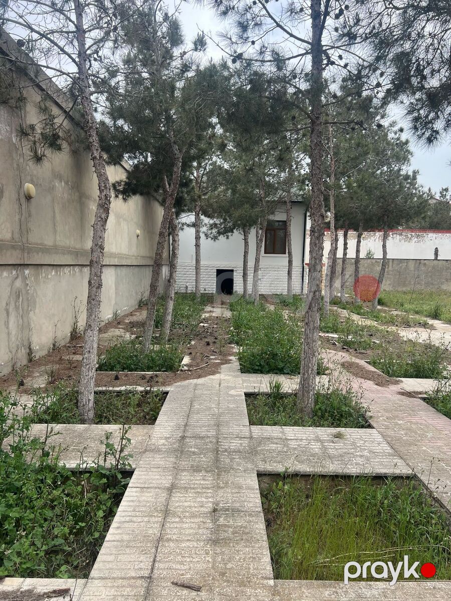 Satılır torpaq 10 sot — Torpaq, Bakı (6)