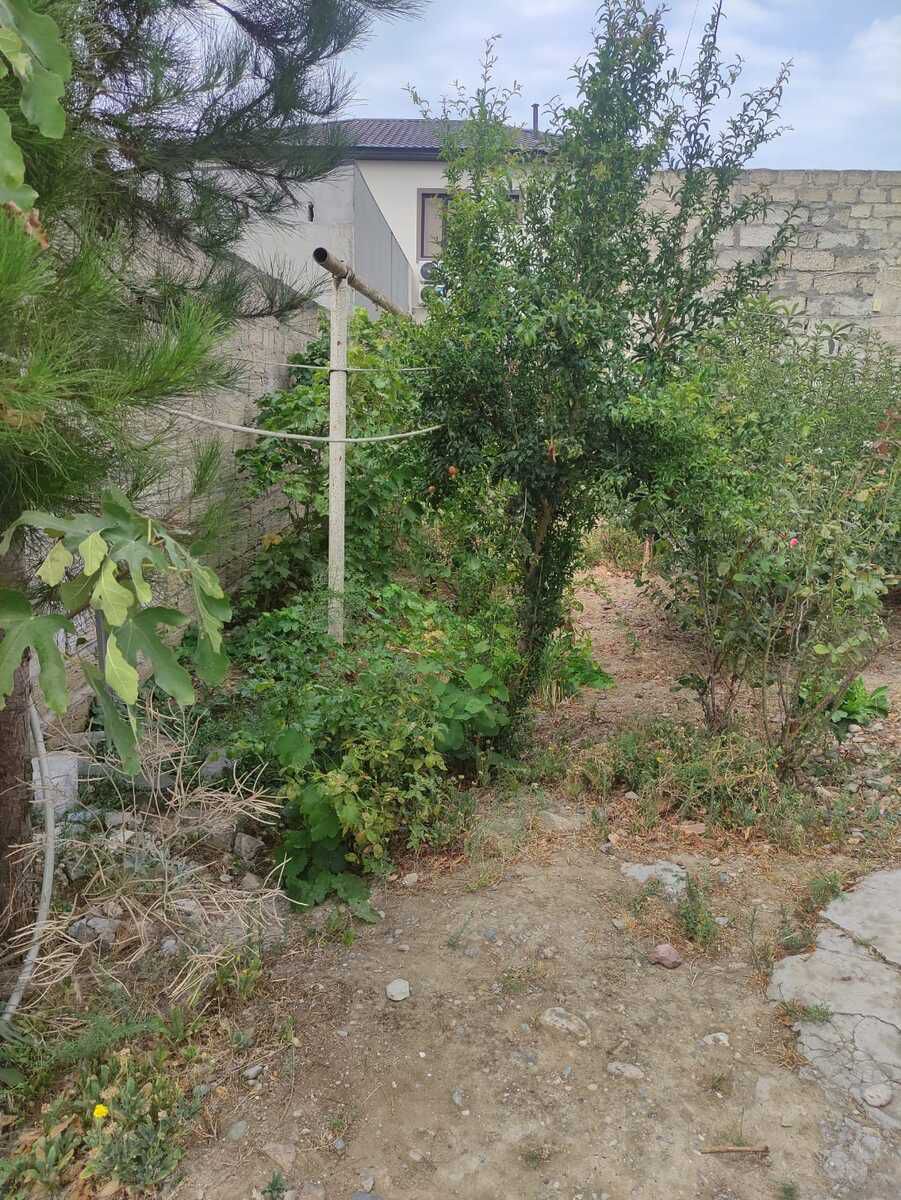 Satılır torpaq 9 sot — Torpaq, Bakı (8)