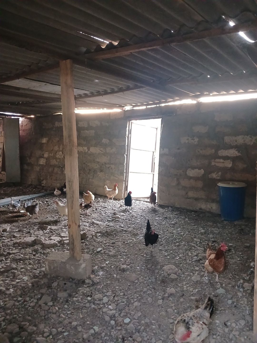Satılır obyekt 3000 m² — Əmlak, Bakı (8)