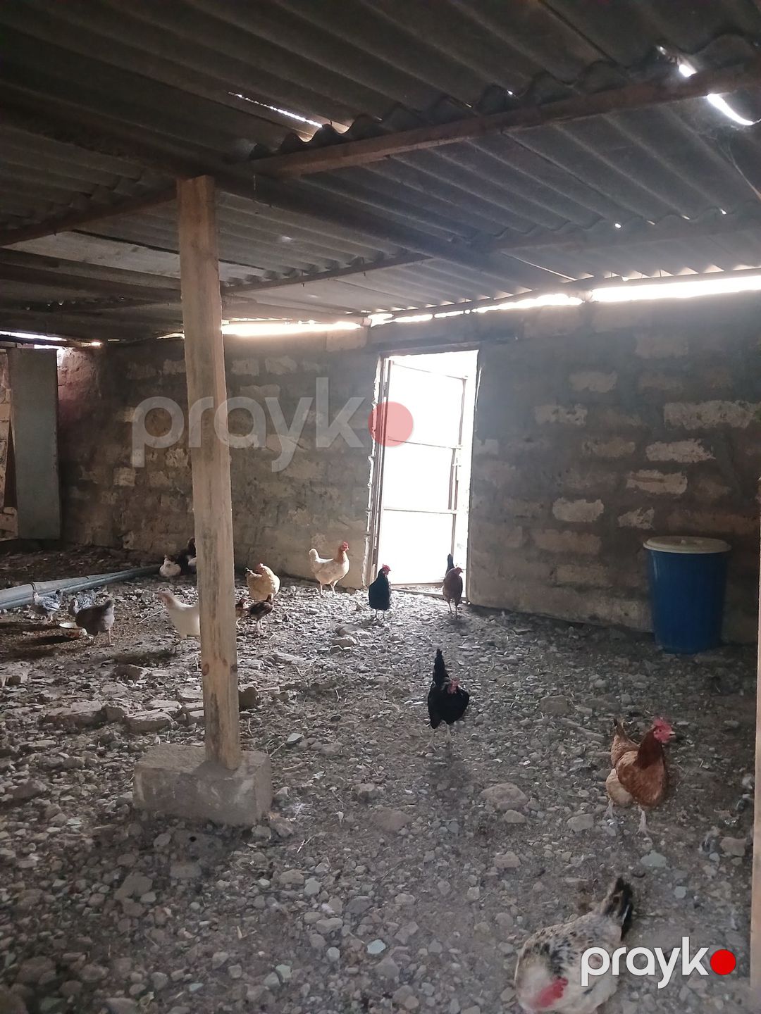 Satılır obyekt 3000 m² — Əmlak, Bakı (8)