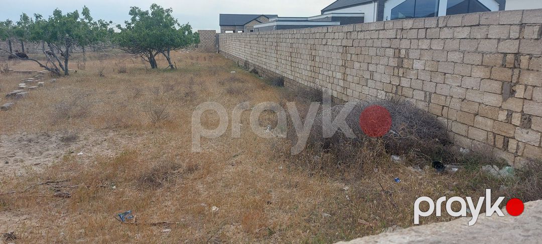 Satılır torpaq 24 sot — Torpaq, Bakı (3)