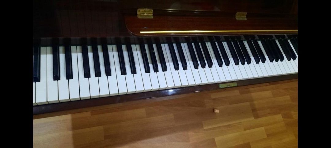 Rőnisch pianino — Musiqiə alətləri, Gəncə (3)