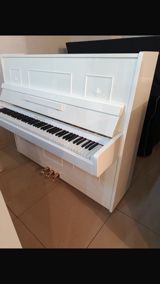 Pianinolar — Музыкальные инструменты