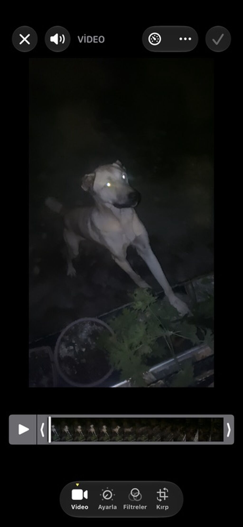 Salam satilir barter ise var moto olar əgər yaxsi moto olsa artiq pul — Heyvanlar, Bərdə