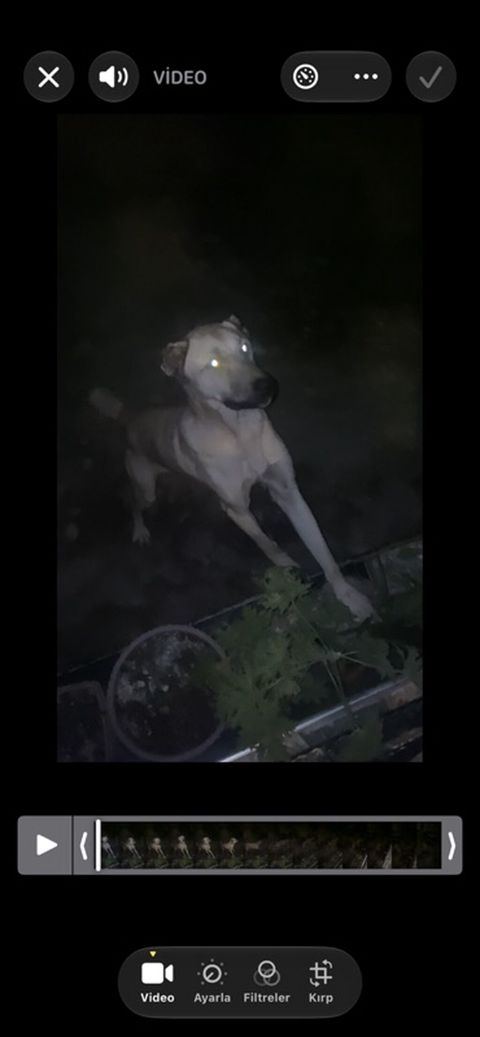 Salam satilir barter ise var moto olar əgər yaxsi moto olsa artiq pul