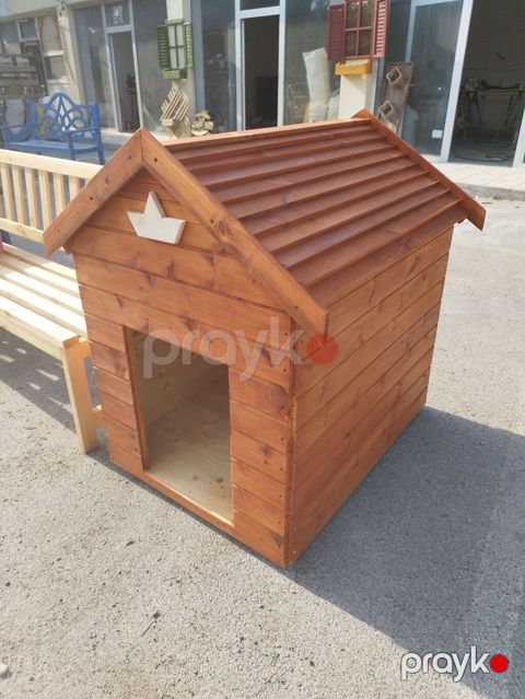 Taxta it evi — tam şam ağacı, lakla işlənmiş