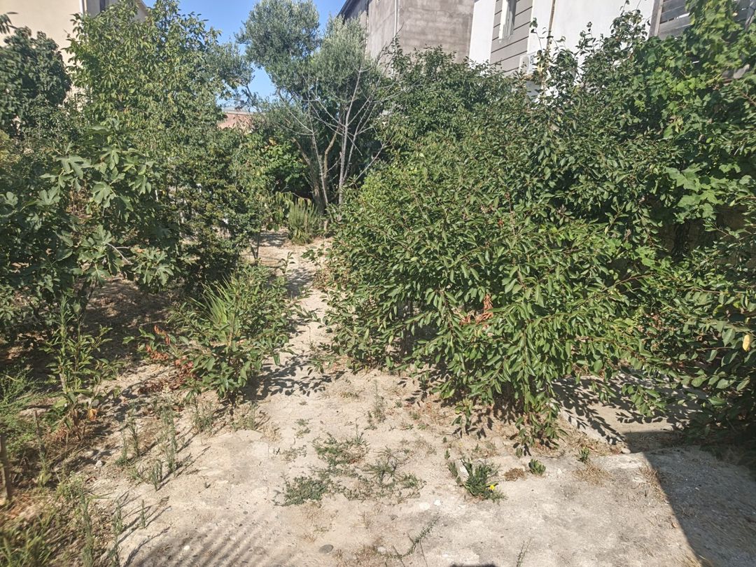 Satılır torpaq 9 sot — Torpaq, Bakı (10)
