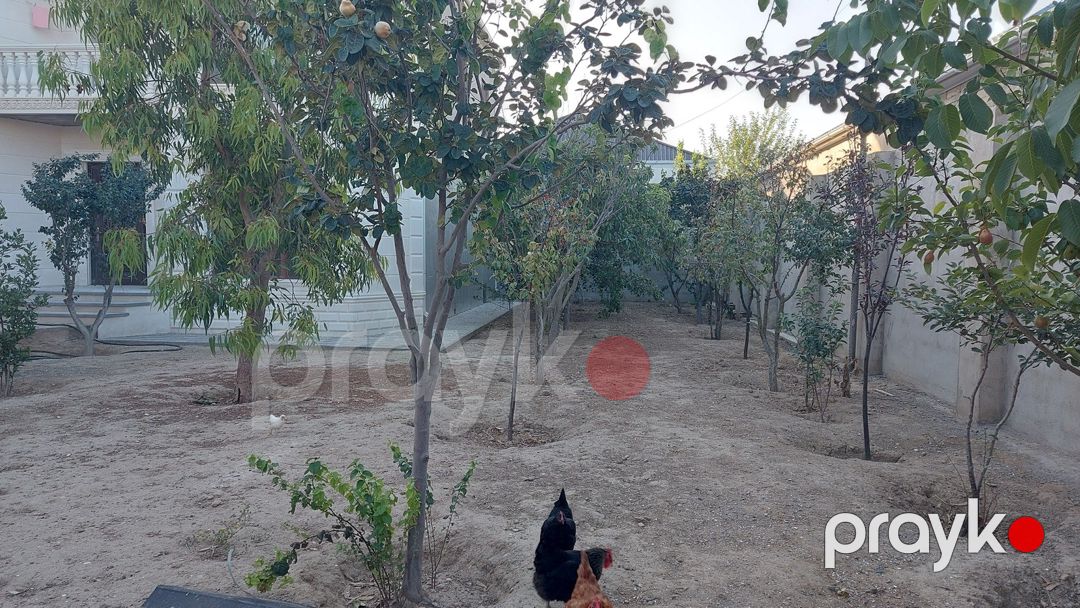Satılır 6 otaqlı həyət evi/bağ evi 240 m² — Ev, villa, Bakı (12)