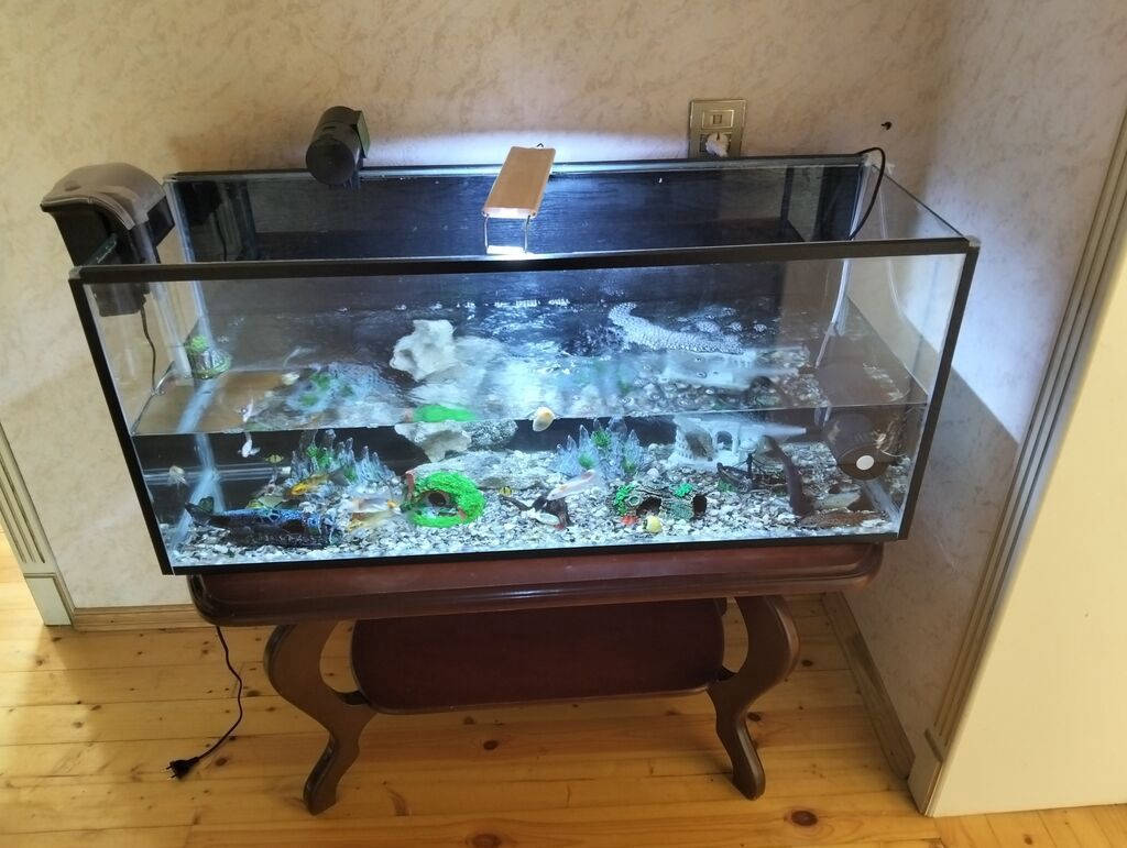 Şüşə akvarium komplekti - Geniş ölçülü şüşə akvarium (düzbucaqlı