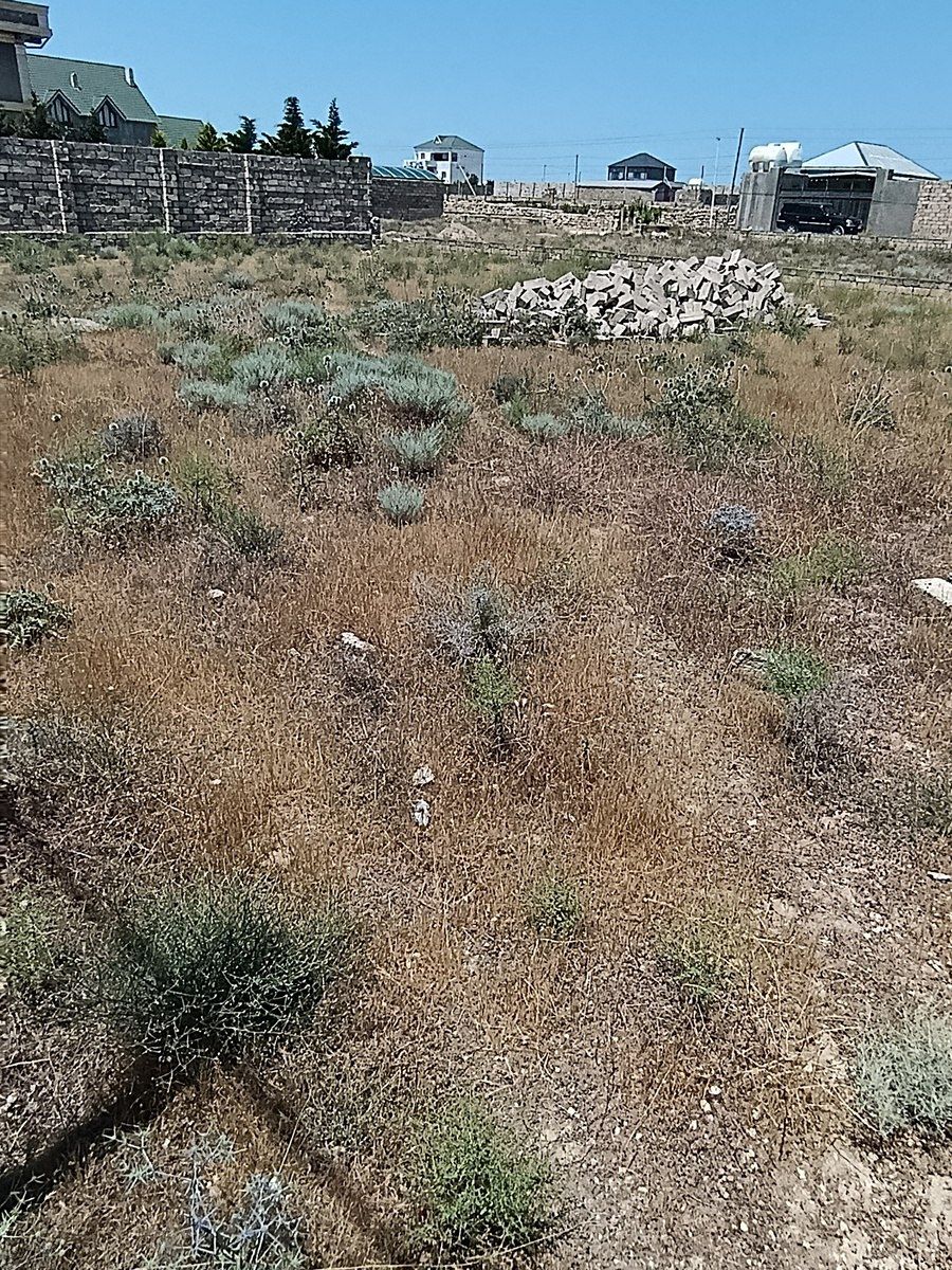 Satılır torpaq 10 sot — Torpaq, Bakı (2)