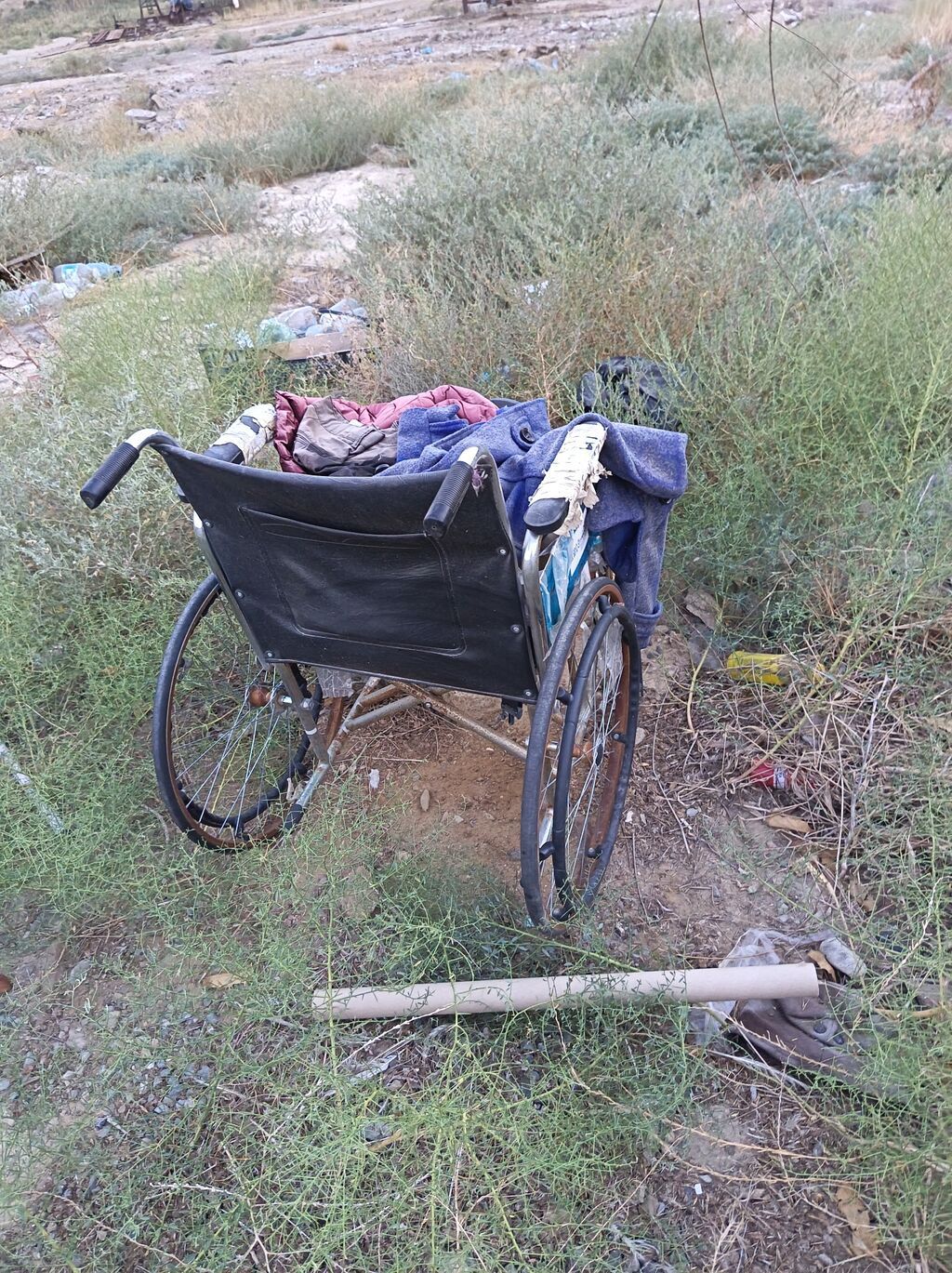 Elil arbasi qiymeti 100 manat — Mallar, Bakı (5)