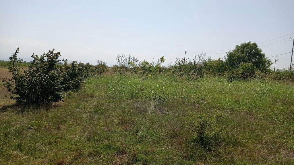14 sot, Tikinti, Mülkiyyətçi, Kupça (Çıxarış) — Torpaq, Xaçmaz (4)