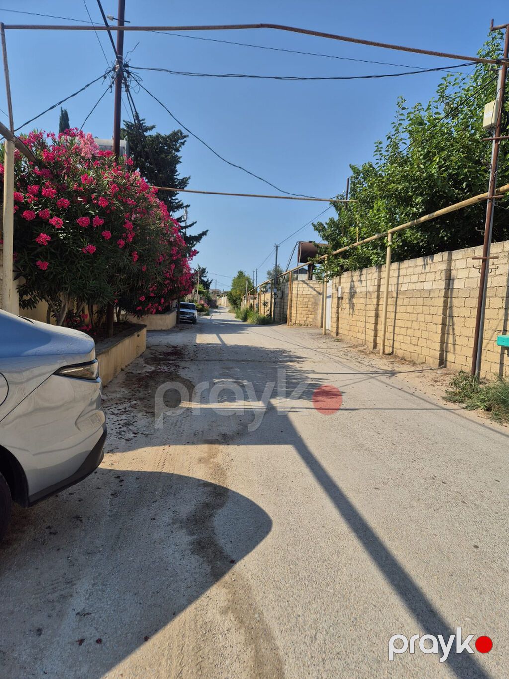 Bilgəhdə 24 sot torpağ satılır sənədi paket çıxarış su qaz işığ — Torpaq, Bakı (5)