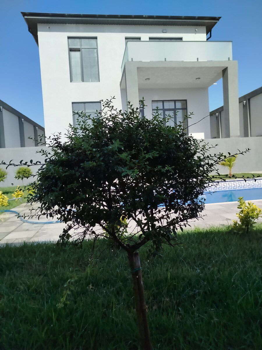 Hovuzların tikintisi — Təmir və inşaat, Bakı (12)