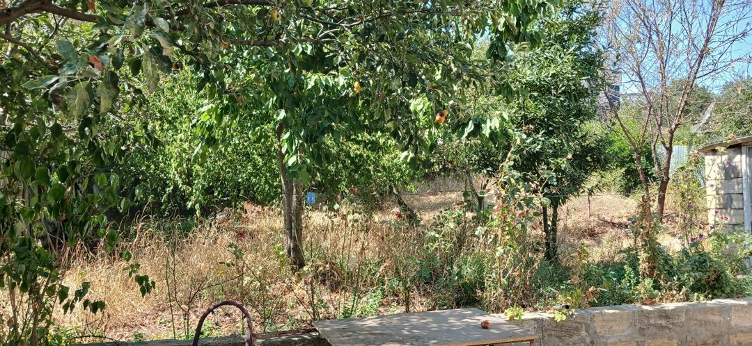 Həyət evi kirayə verilir, Şamaxı r. — Ev, villa, Şamaxı (3)