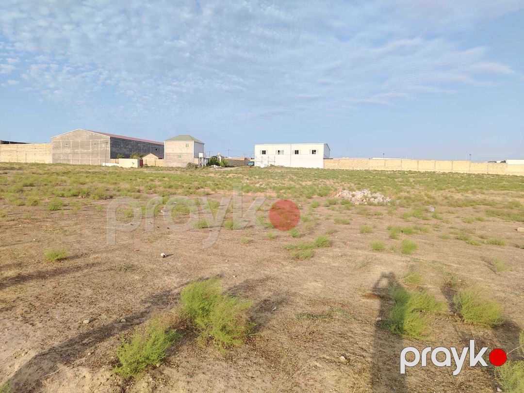 41 sot torpaq sahəsi, Saray qəs — Torpaq, Bakı (3)
