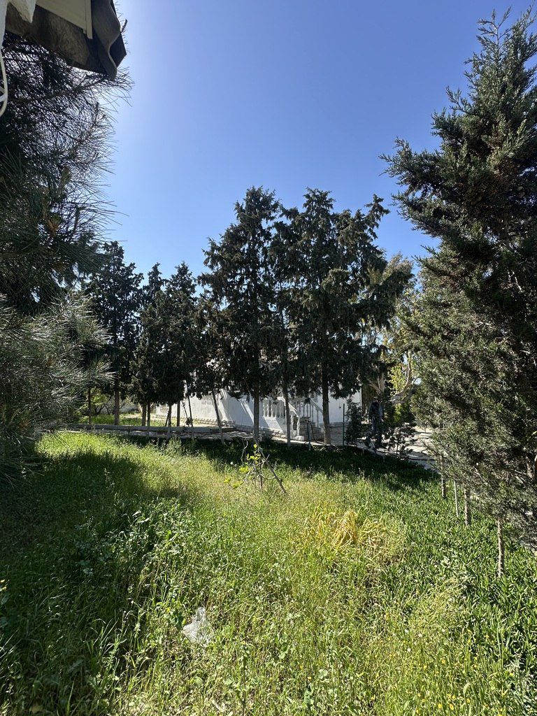 Satılır torpaq 11 sot — Torpaq, Bakı (4)