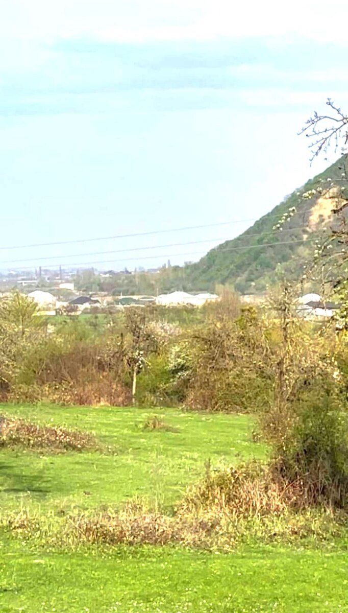 40 sot torpaq sahəsi, Quba r. — Torpaq, Quba (7)