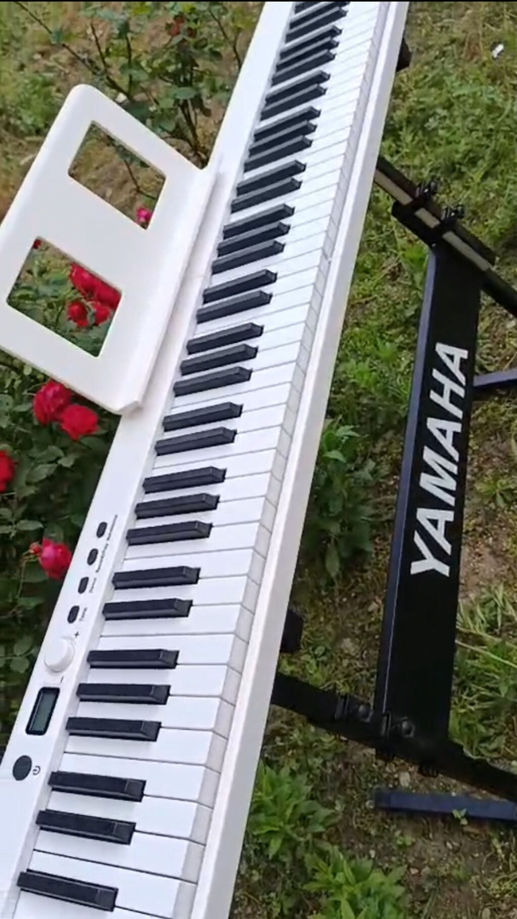 Piano kursuna başlayanlar üçün,Piano müəllimləri üçün uyğundur — Oyuncaqlar, Bakı (6)