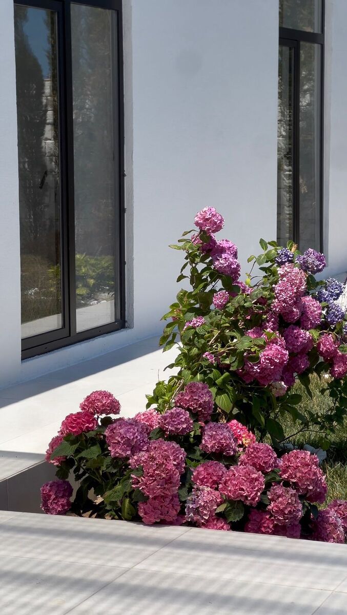 Satılır 3 otaqlı həyət evi/bağ evi 120 m² — Ev, villa, Bakı (4)