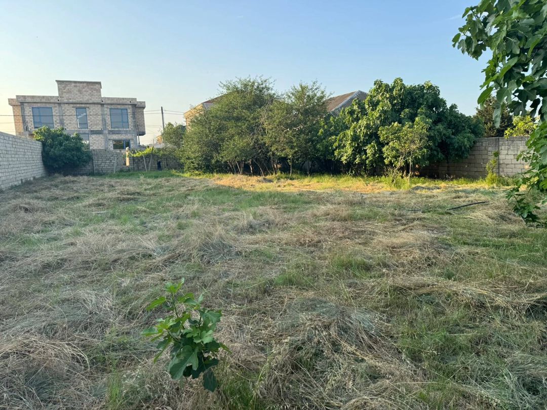 Satılır torpaq 10 sot — Torpaq, Bakı (2)