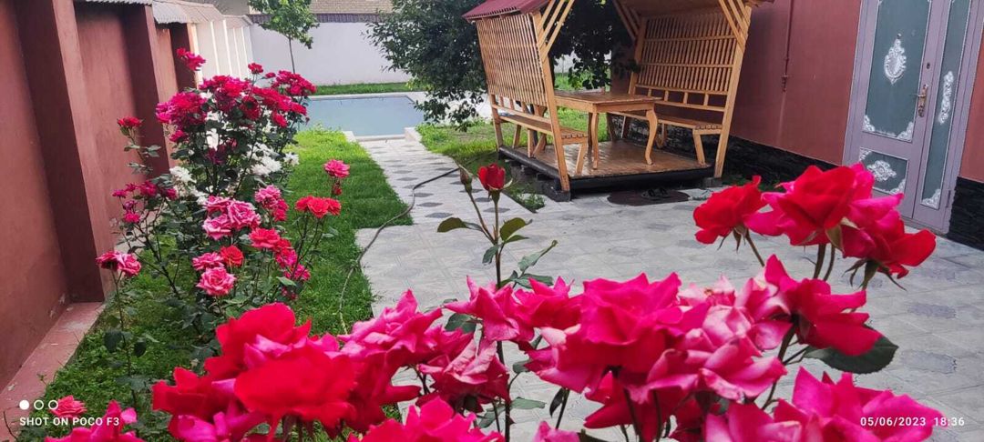 İcarəyə verilir 4 otaqlı həyət evi/bağ evi 144 m² — Ev, villa, Qəbələ (9)