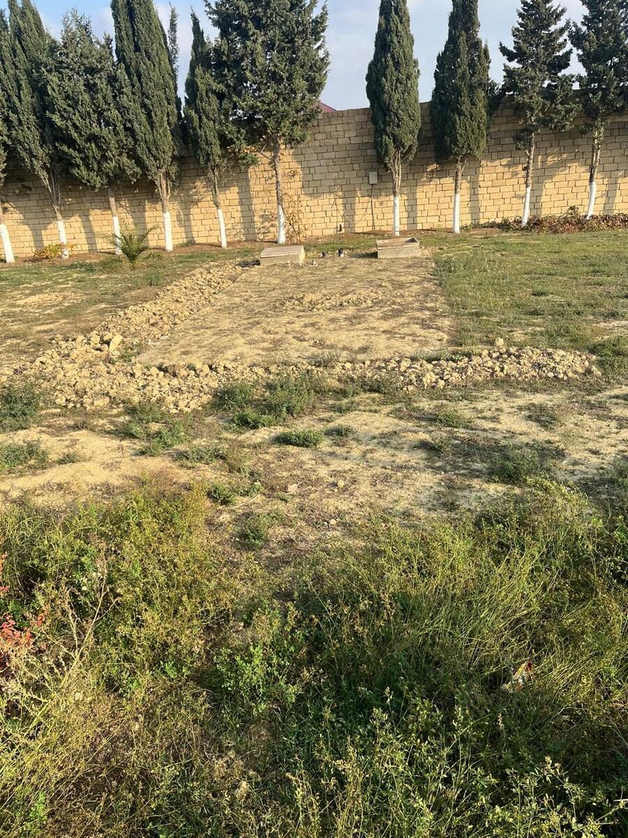 Satılır obyekt 1250 m² — Əmlak, Bakı (8)