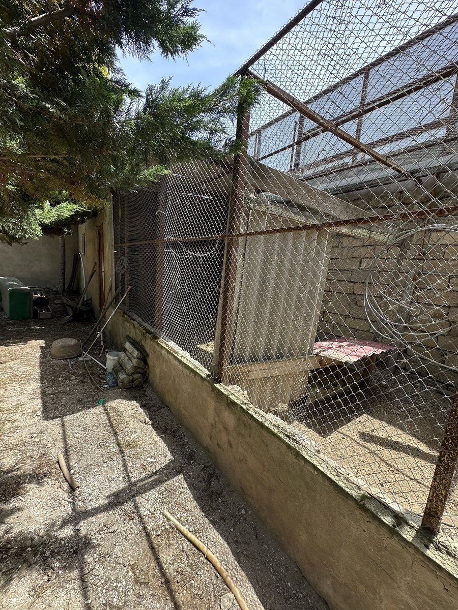 Satılır 5 otaqlı həyət evi/bağ evi 200 m² — Ev, villa, Bakı (5)