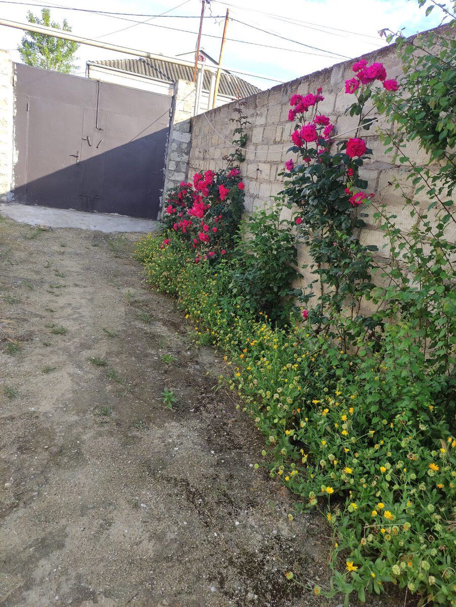 9 sot torpaq sahəsi, Mərdəkan qəs. — Torpaq, Bakı
