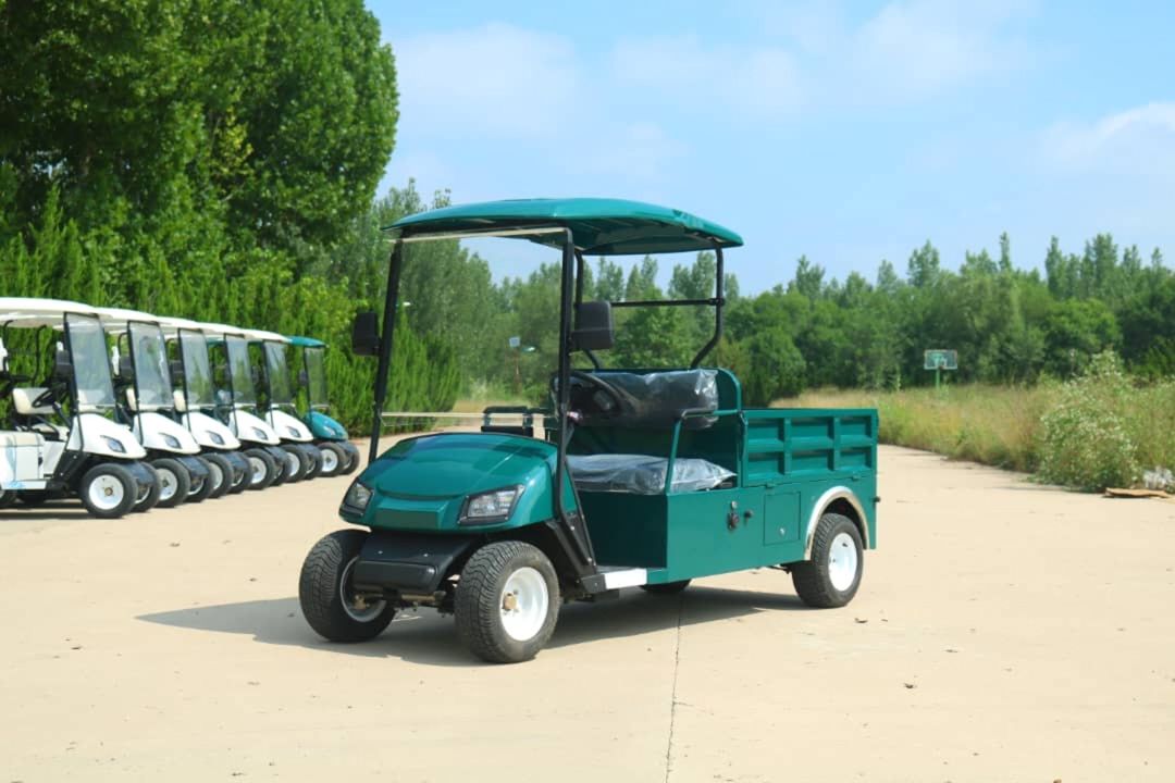 Golfcar Pickup, 2026 — Avto, Bakı