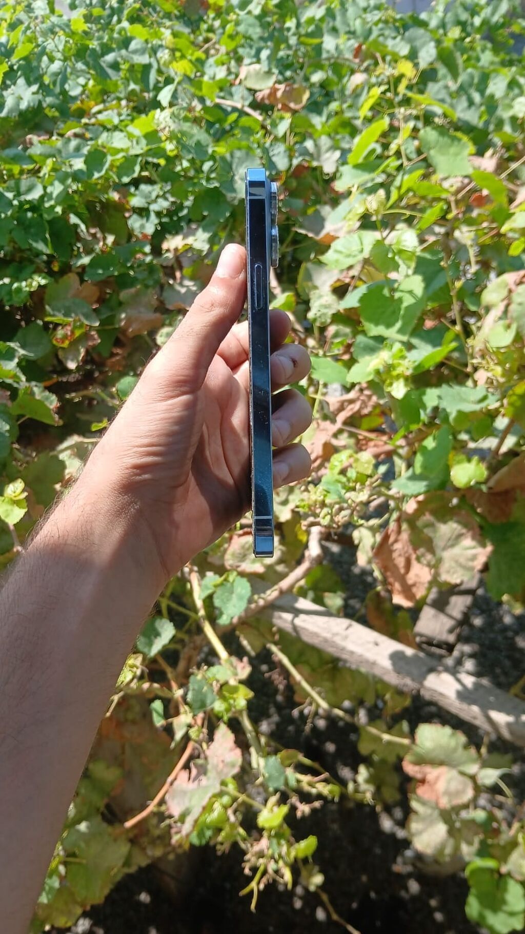 IPhone 13 Pro, Mavi, Face ID — Apple iPhone, Bakı (2)