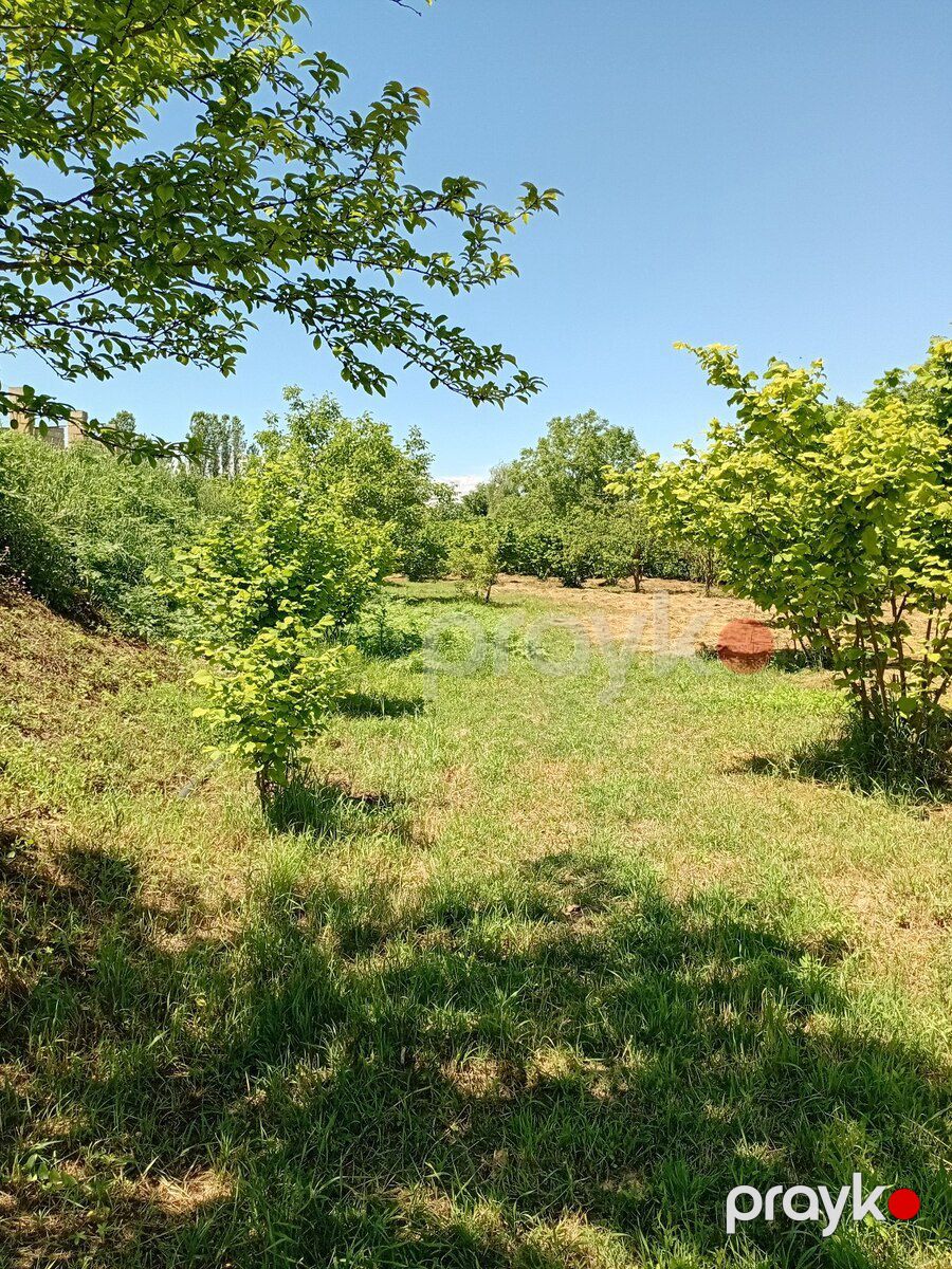 37 sot torpaq sahəsi, Xaçmaz r — Torpaq, Xaçmaz (3)