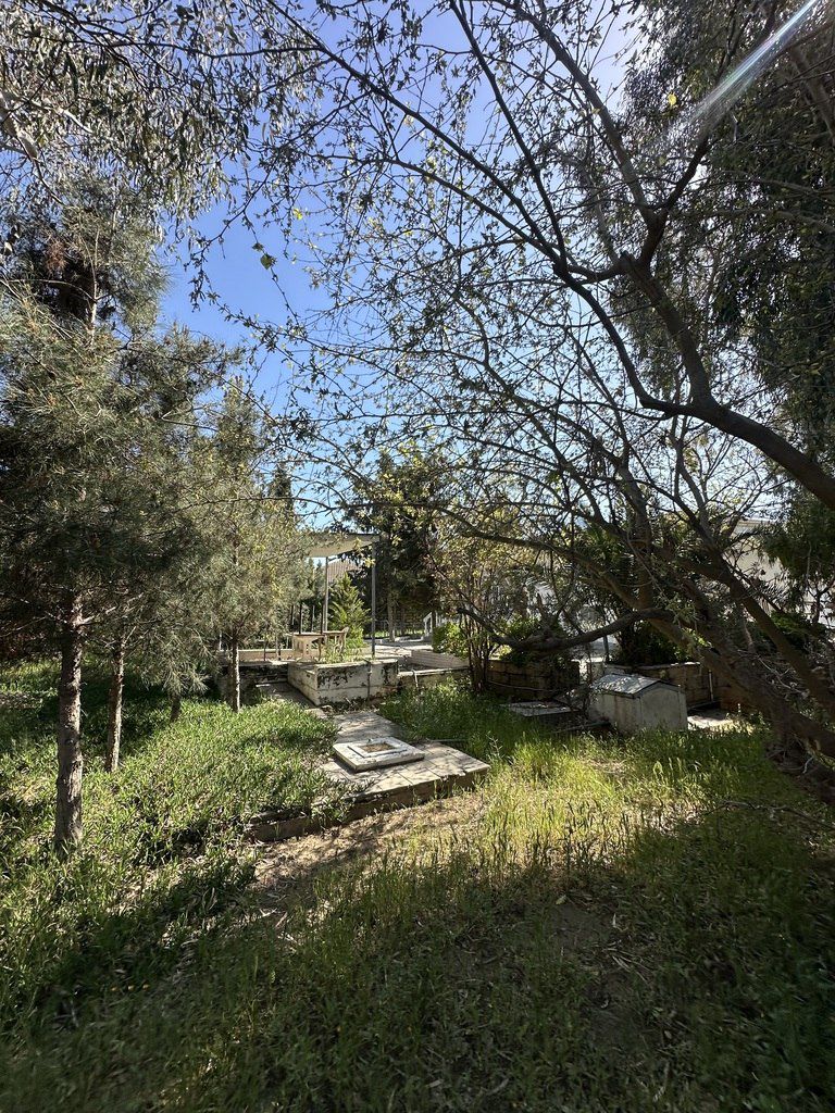 Satılır torpaq 11 sot — Torpaq, Bakı (10)