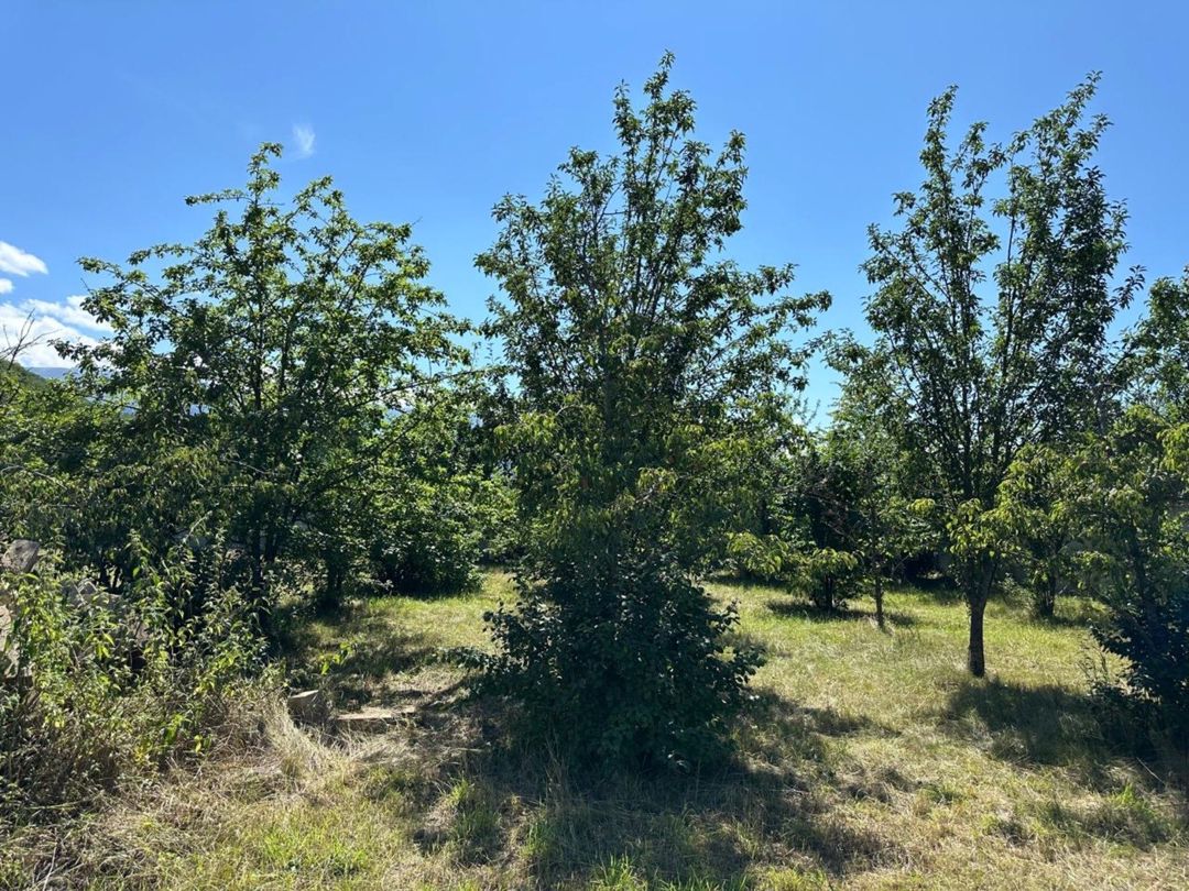Satılır torpaq 18 sot — Torpaq, Qusar (11)