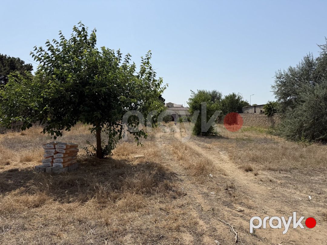 Satılır torpaq 12 sot — Torpaq, Bakı (4)