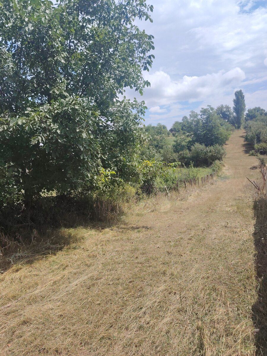 12 sot torpaq sahəsi, Qusar r. — Torpaq, Qusar (12)