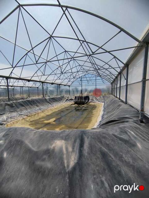 İcarəyə verilir obyekt 10000 m²