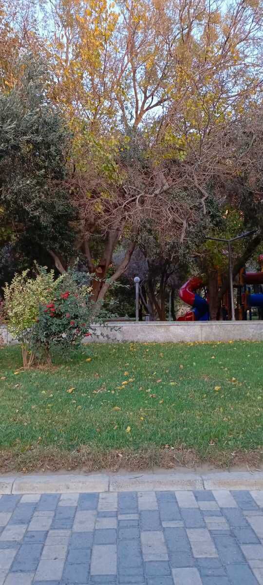 Satılır 2 otaqlı köhnə tikili 56 m² — Mənzil, Bakı (10)