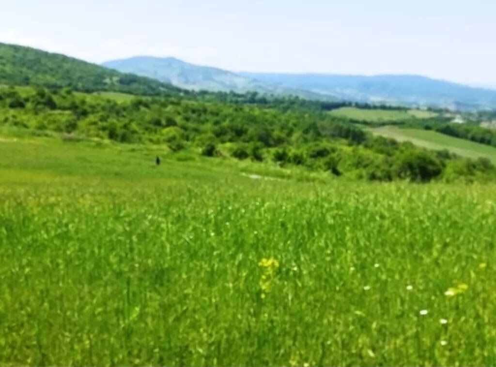 524 sot, Biznes üçün, Barter mümkündür, Kupça (Çıxarış) — Torpaq, Quba (8)