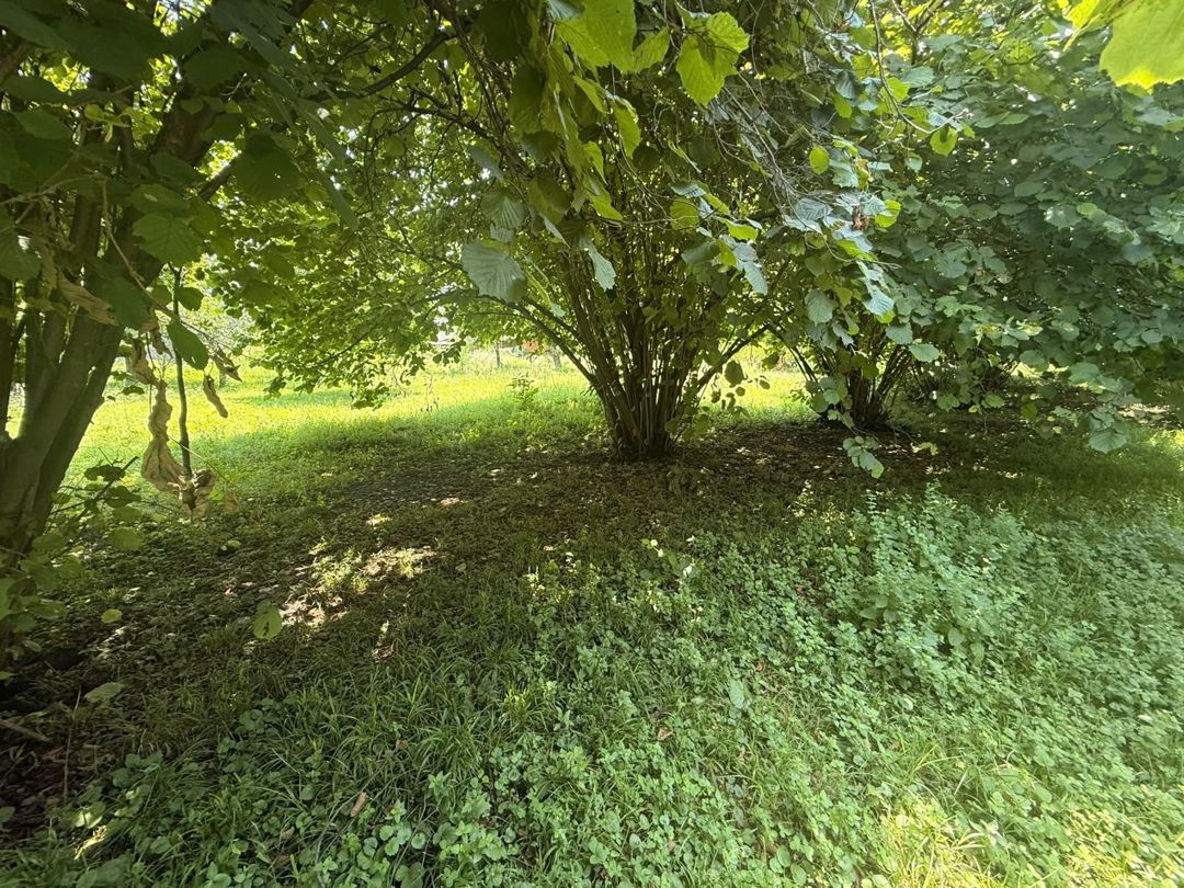 Satılır 4 otaqlı həyət evi/bağ evi 107.1 m² — Ev, villa, Zaqatala (10)