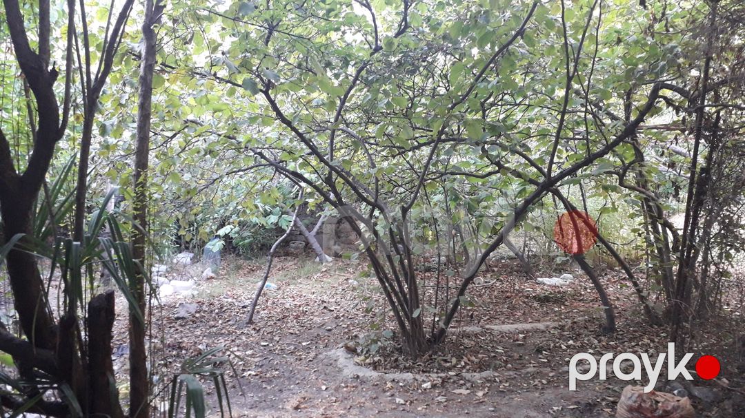 3 sot torpaq sahəsi, Biləcəri qəs. — Torpaq, Bakı (5)