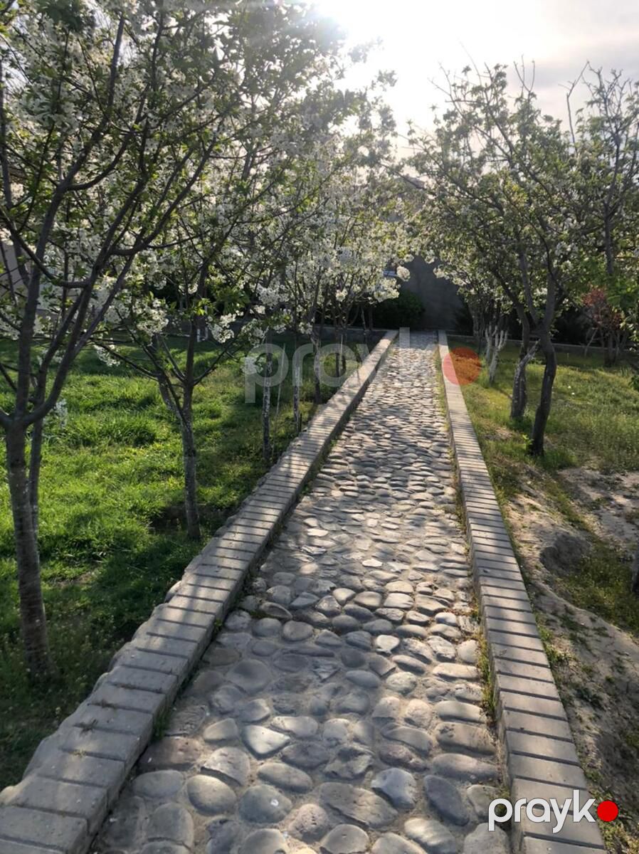 Satılır 7 otaqlı həyət evi/bağ evi 600 m² — Ev, villa, Bakı (4)