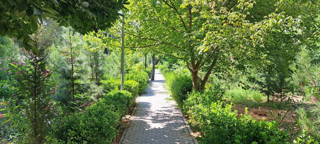 Satılır 3 otaqlı köhnə tikili 80 m² — Mənzil, Bakı (11)