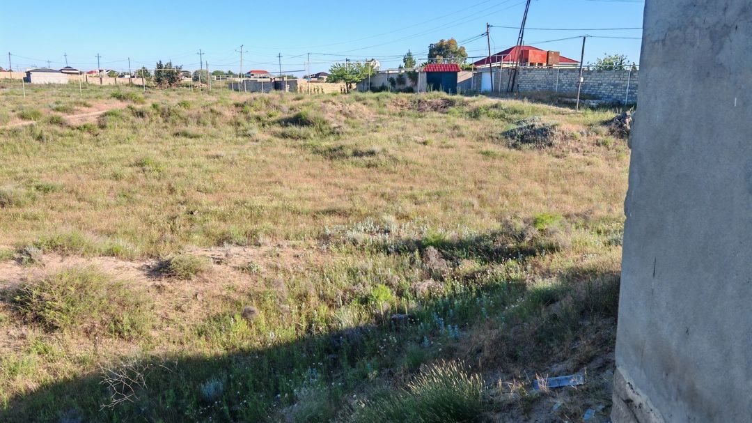 Satılır torpaq 50 sot — Torpaq, Bakı (5)