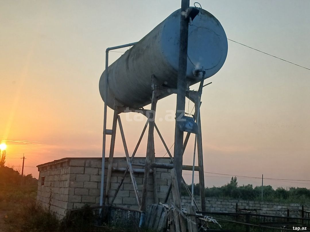 6500 sot torpaq sahəsi, Sabirabad r. — Torpaq, Sabirabad (10)