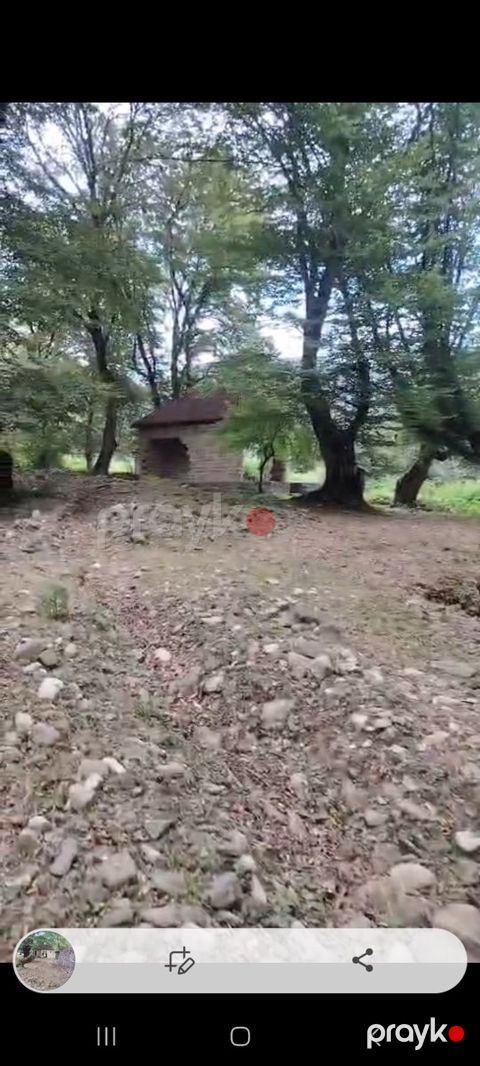 2000 sot torpaq sahəsi, Oğuz r.
