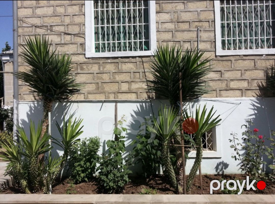 Satılır 4 otaqlı həyət evi/bağ evi 200 m² — Ev, villa, Bakı (9)