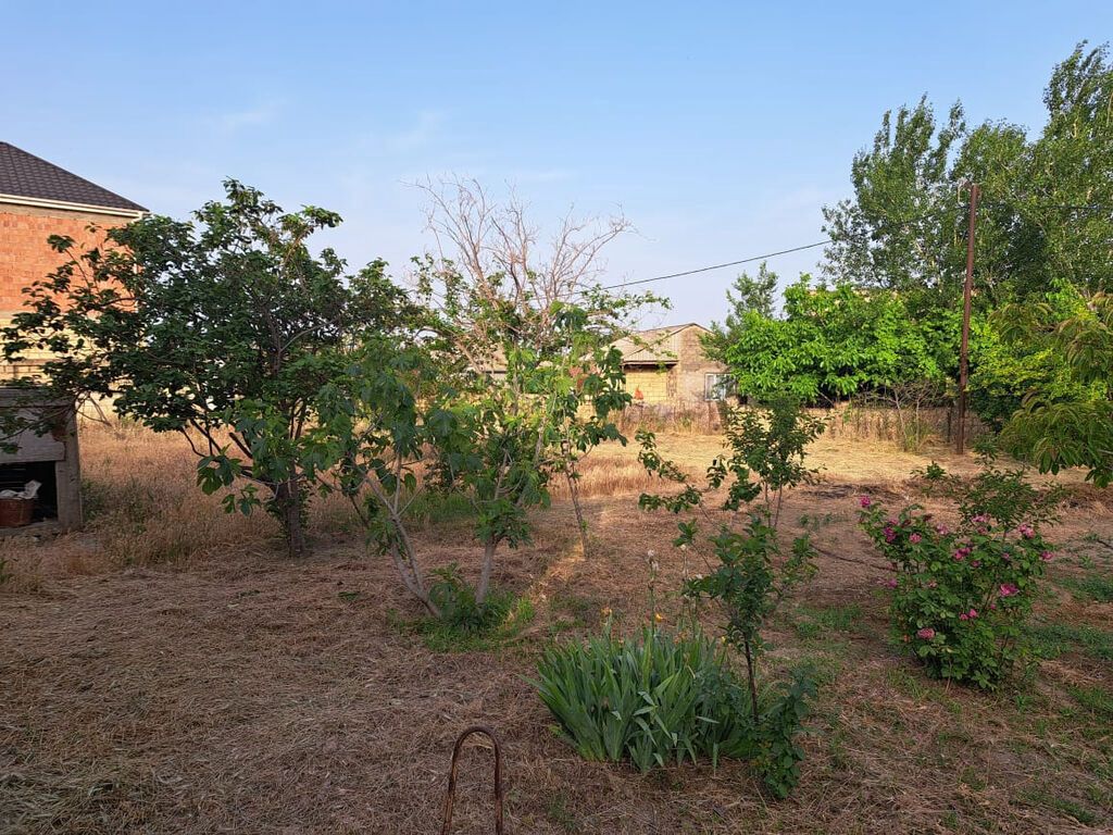 3 sot, Mülkiyyətçi, Kupça (Çıxarış)