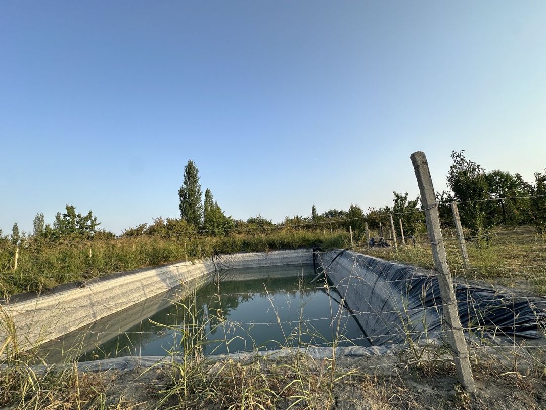 Satılır torpaq 200 sot — Torpaq, Xaçmaz (3)