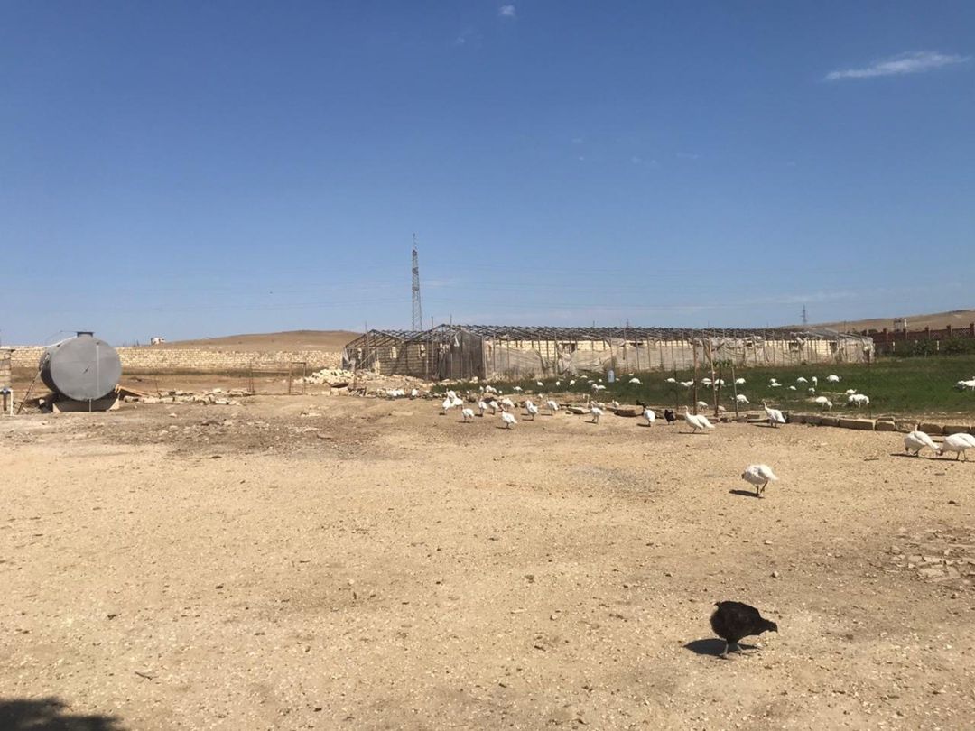 İcarəyə verilir obyekt 15000 m² — Əmlak, Bakı (10)